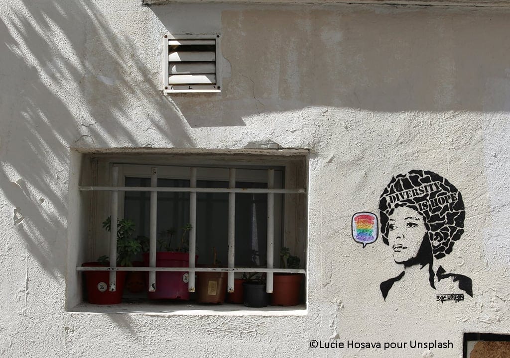 Illustration Analyse Diversité 2024