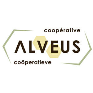 Alveus