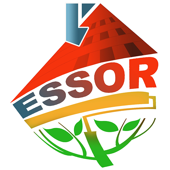 Essor